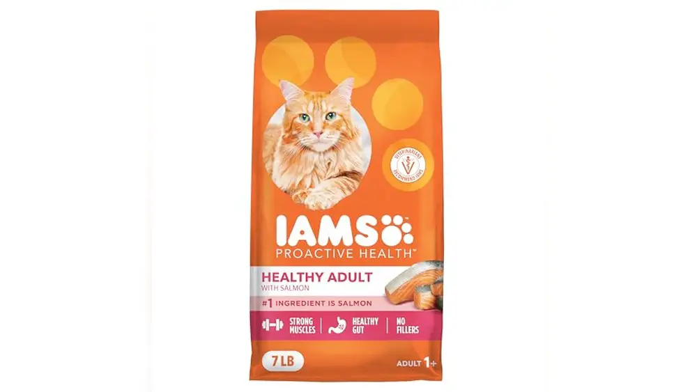 What'S the Best Salmon Based Cat Food