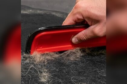 Car Pet Hair Removal