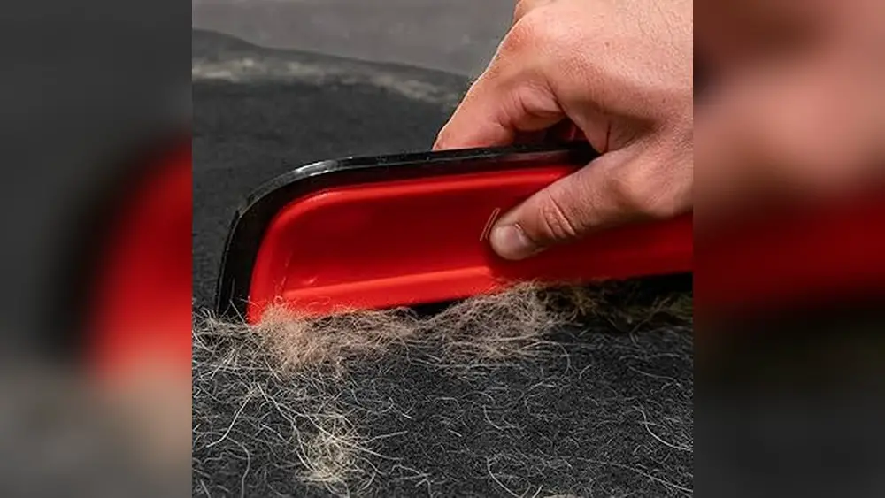 Car Pet Hair Removal