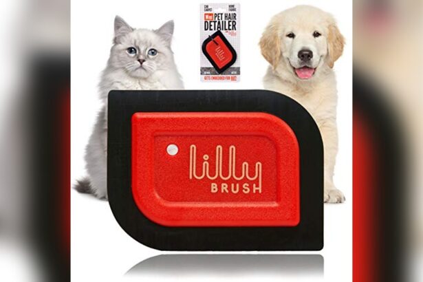 Lilly Brush Pet Hair Remover