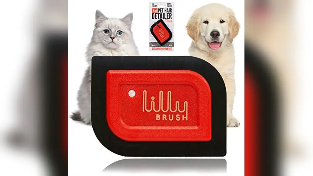 Lilly Brush Pet Hair Remover