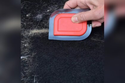 Pet Hair Removal Service