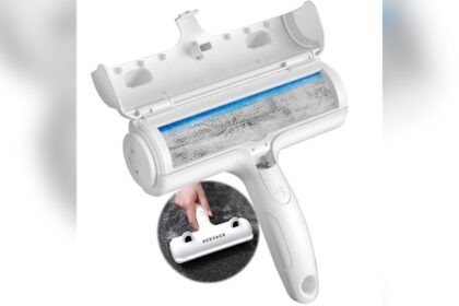 Pet Hair Removal Service Tampa