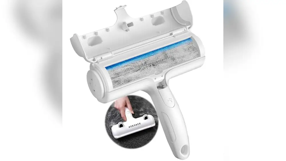 Pet Hair Removal Service Tampa