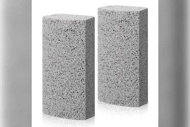 Pet Hair Removal Stone