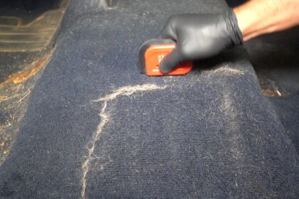 Pet Hair Remover for Car Detailing