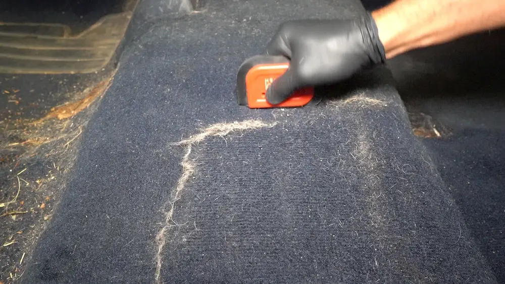 Pet Hair Remover for Car Detailing