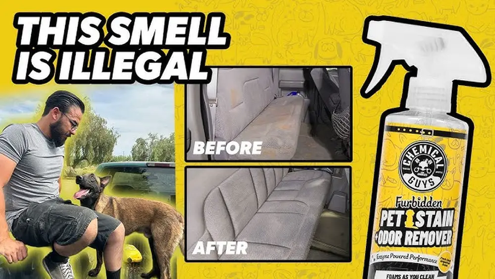 Pet Hair Stain Odor Removal Cleaning Hacks