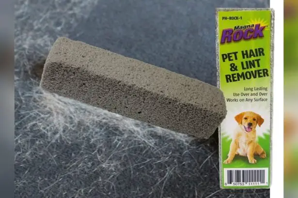 Pet Rock Hair Removal