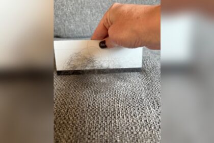 Remove Pet Hair from Sofa