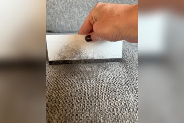 Remove Pet Hair from Sofa