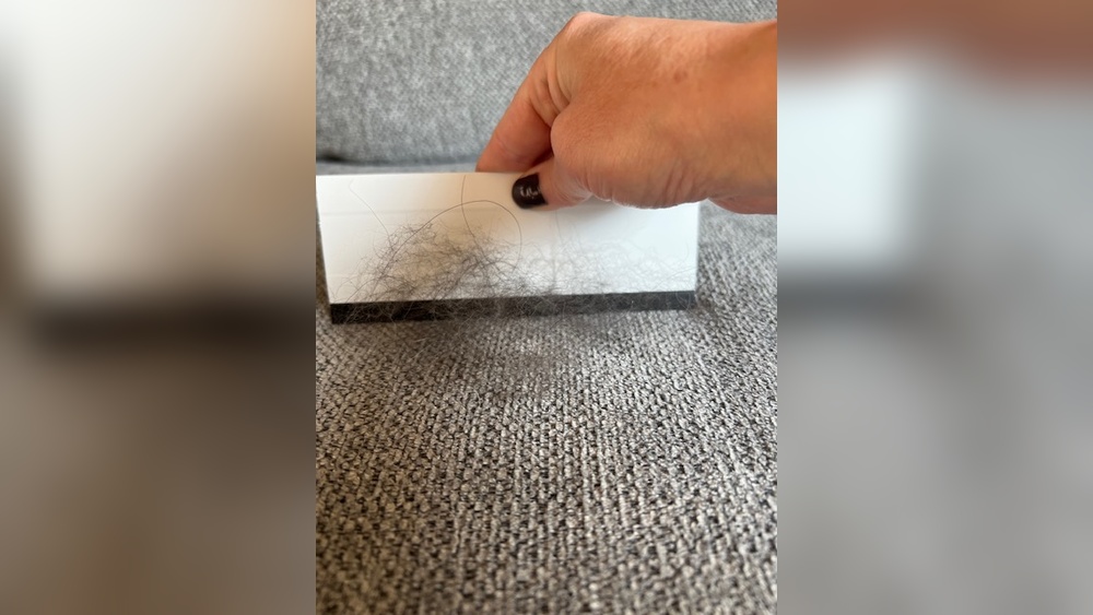 Remove Pet Hair from Sofa